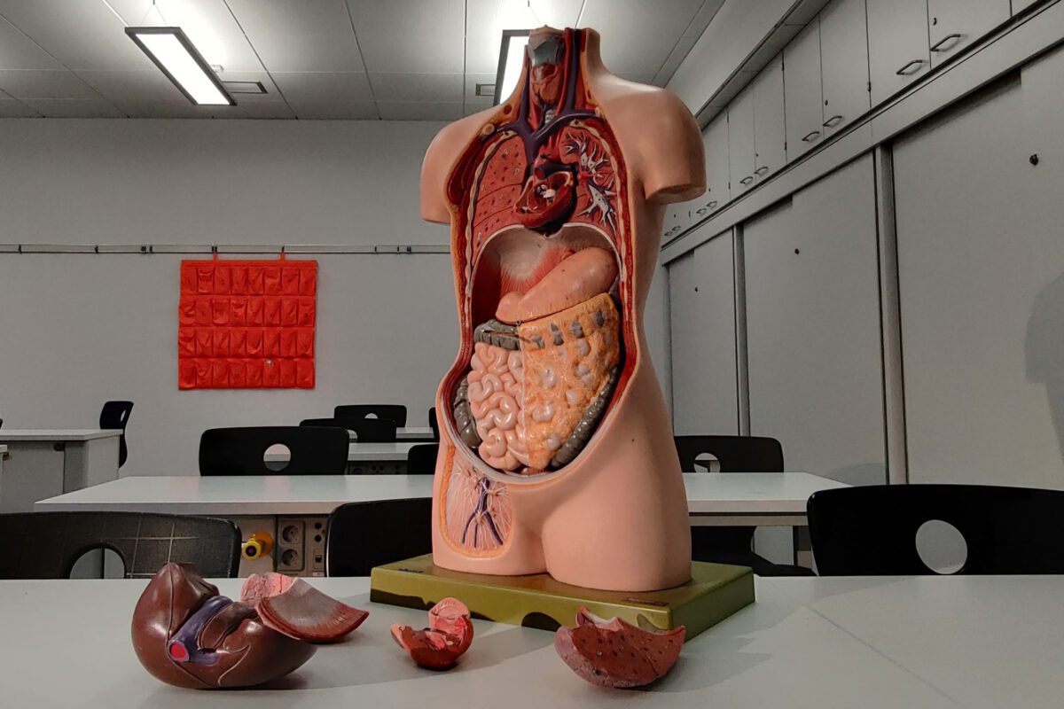 abdominale klachten scholing triage